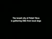 Petah Tikva