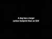 Dog Carbon Footprint