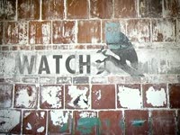 Watch Owl on Wall