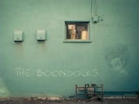 Boondocks Blue Wall