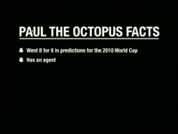 Paul the Octopus Facts