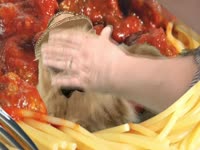 Animals: Cat in Spaghetti