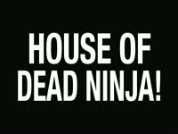 Dumb House of Dead Ninja