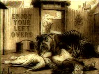 Enjoy Your Leftovers - Tiger