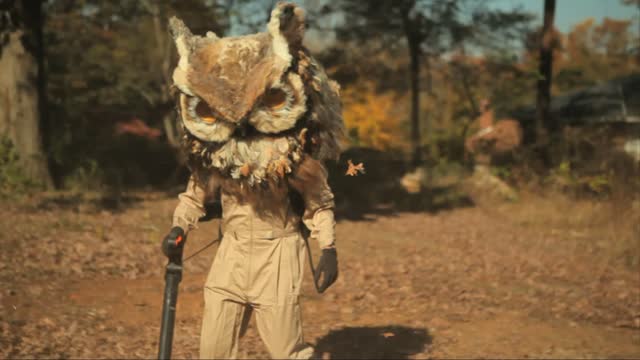 Owls: Separate Dimensions | BumpWorthy.com - adult swim bumps