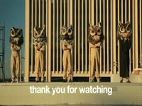 Owls: Thank You for Watching