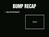 Bump Recap
