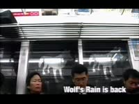 Wolf's Rain is Back