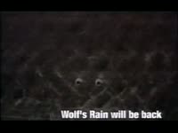 Wolf's Rain Will be Back