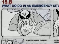 2003 HowTo - Birdman CPR