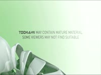 Toonami Disclaimer Green