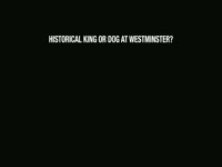 King or Westminster Dog