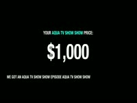 Aqua TV Show Show Bidding