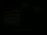 Williams Street Evil Spooky Entities