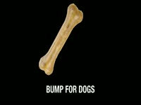Bump for Dogs Images