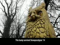 Snowpocalypse '14 Bump: Gold Owl