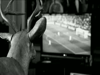 Deer Watching Soccer on TV