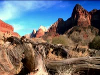 Tagged Videos: Zion Canyon