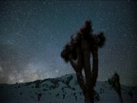 Tagged Videos: Snowy Owens Valley