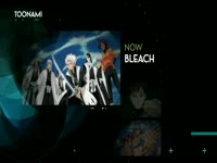 Toonami 3.0 Bleach 04