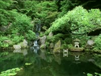 Tagged Videos: Japanese Garden