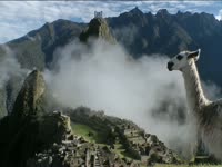 Tagged Videos: Llama at Machu Picchu