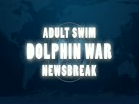 Dolphin War Newsbreak