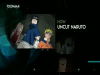 Toonami 3.0 Naruto 10