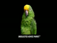 Unsolicited Advice Parrot