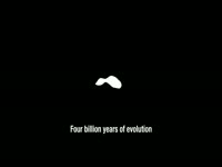 Four Billion Years of Evolution